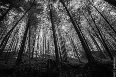 IMG_0080