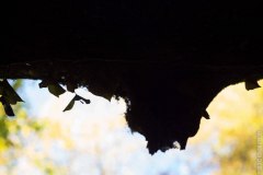 IMG_0171