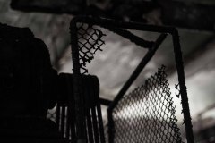 IMG_5411