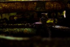 IMG_5471