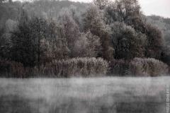 IMG_7986