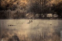 IMG_8075
