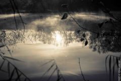 IMG_8138