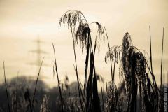 IMG_8180