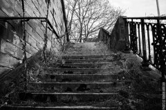 IMG_9002